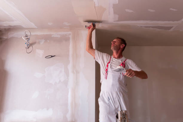 Reliable College Park, MD Drywall and Painting Service Solutions